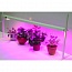 Фитосветильник светодиодный для рассады и растений большой (LED-30)