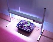 Фитосветильник светодиодный для рассады и растений малый (LED-15)